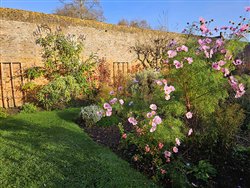 tourville-sur-arques (33)